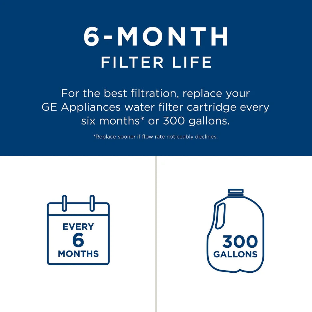 GE RPWFE refrigerator water filter