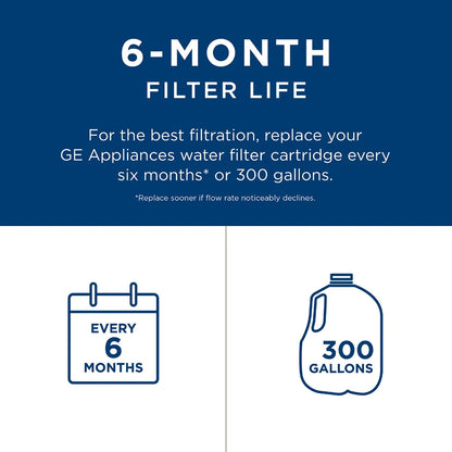 GE RPWFE refrigerator water filter