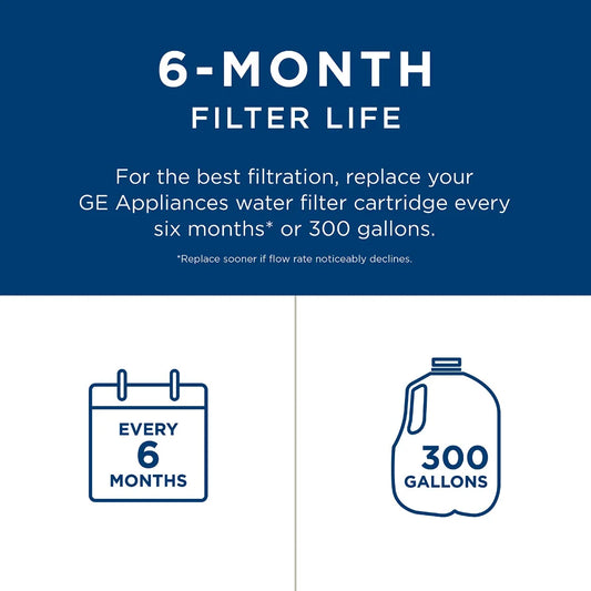 GE RPWFE refrigerator water filter